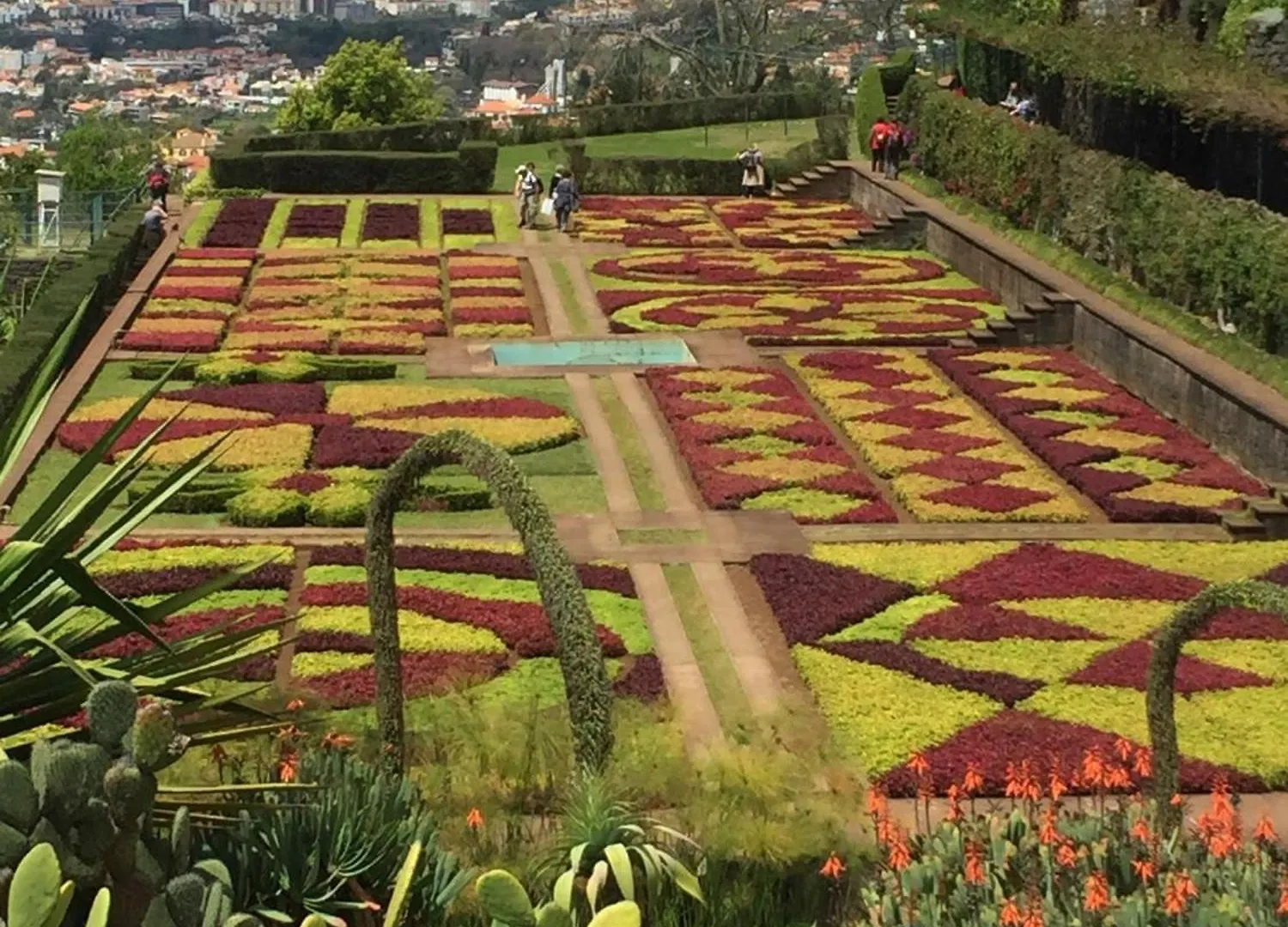 Holiday Apartments Funchal - Bouganvilla
