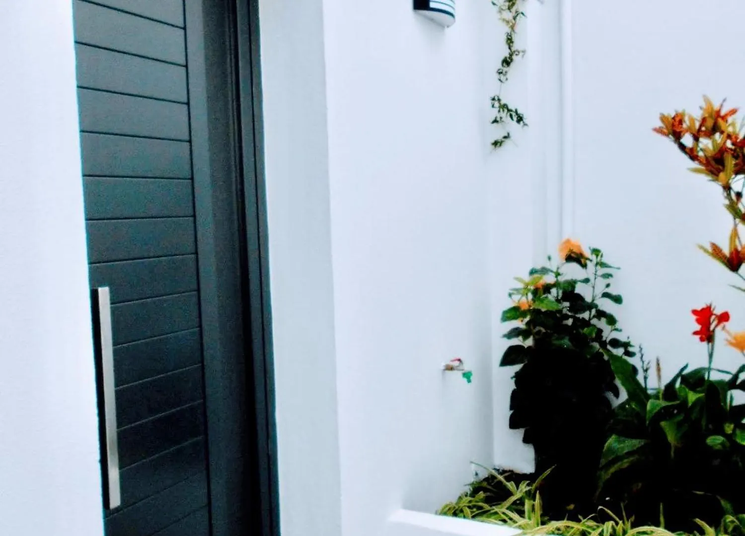 Holiday Apartments Funchal - Bouganvilla Funchal (Madeira)